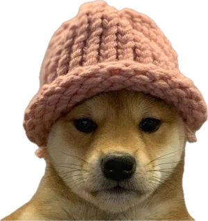 dogwifhat icon
